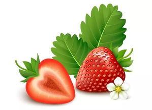 甜蜜草莓爆料视频大全,甜蜜草莓爆料视频全集盘点  第1张